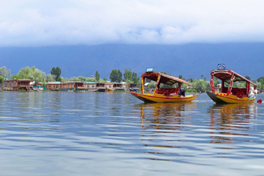 Bougainvilleas on Lombard Street,  San Francisco, Tokyo