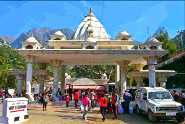 Bougainvilleas on Lombard Street, San Francisco, Tokyo